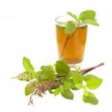 Tisana ayurvedica Tulsi Everest Ayurveda